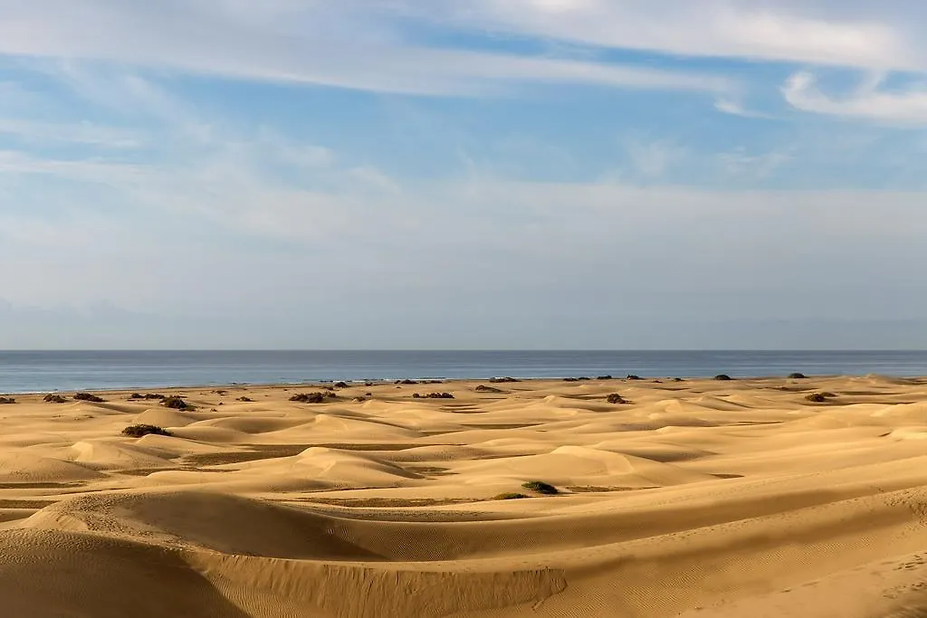 Santa Monica Suites Hotel Плайя-дель-Инглес